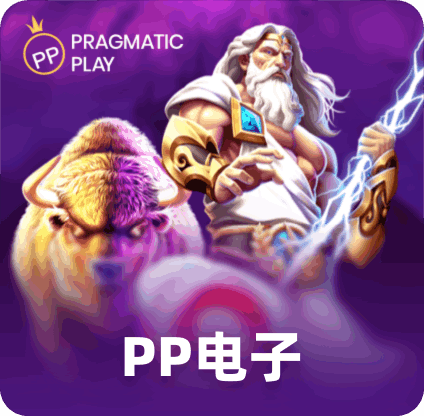 PP电子